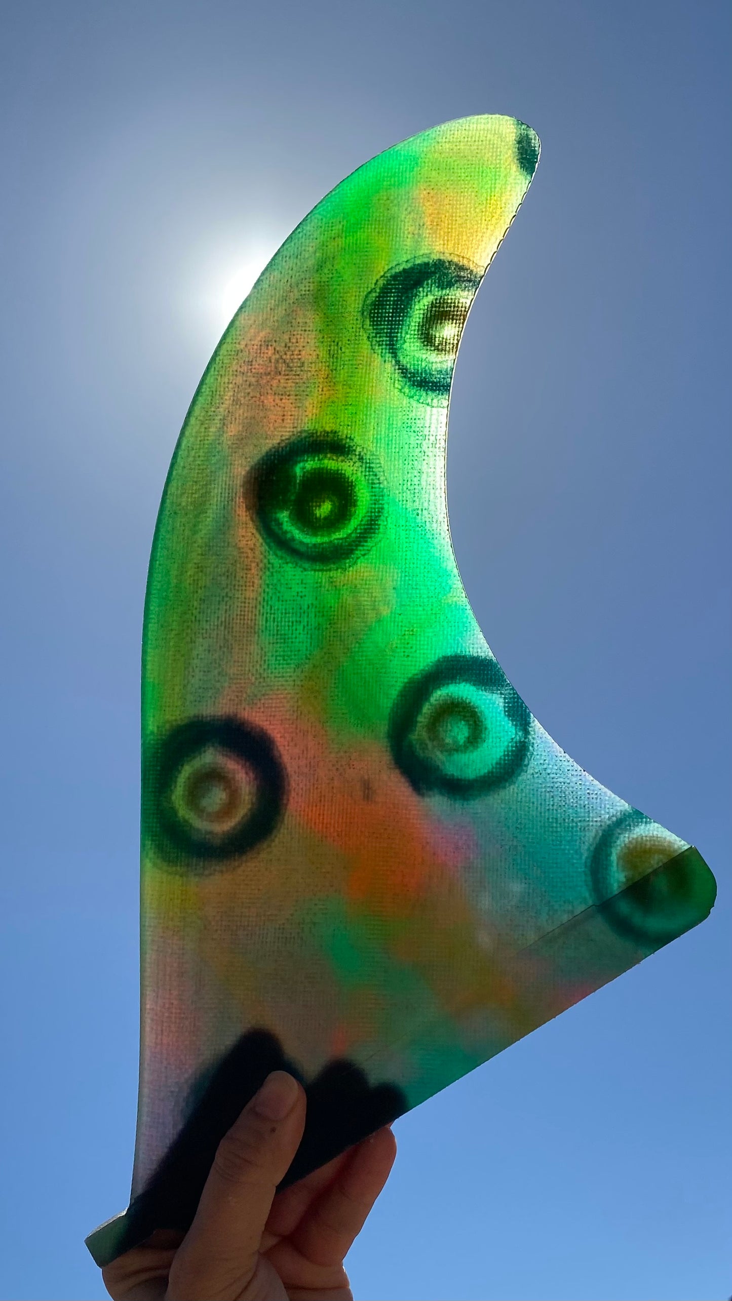 Die Seekat 10.5”
